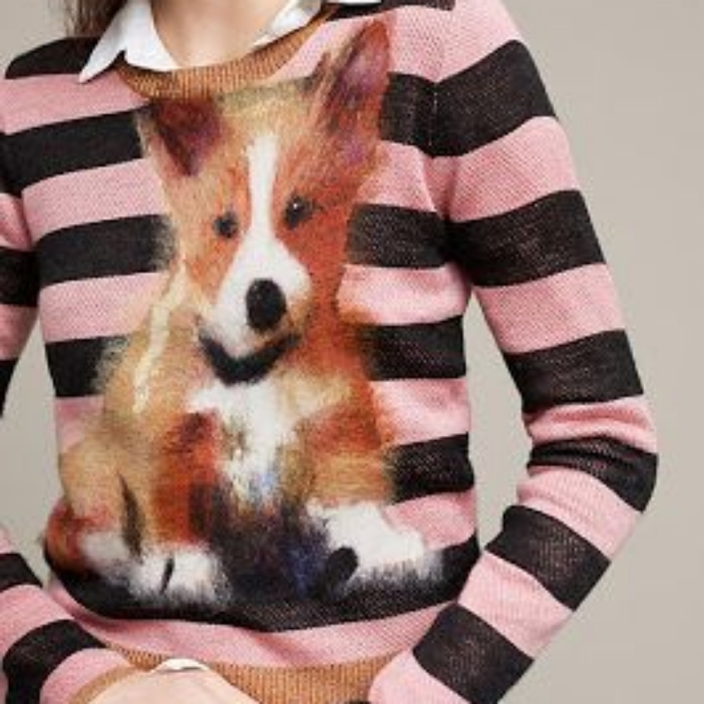 Anthropologie Troubadour striped corgi sweater size L